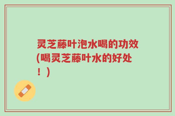 灵芝藤叶泡水喝的功效(喝灵芝藤叶水的好处！)-第1张图片-超越