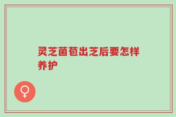灵芝菌苞出芝后要怎样养护-第1张图片-超越 灵芝菌苞出芝后要怎样养护-第1张图片-超越