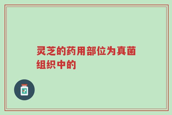 灵芝的药用部位为真菌组织中的-第1张图片-超越 灵芝的药用部位为真菌组织中的-第1张图片-超越