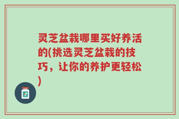 灵芝盆栽哪里买好养活的(挑选灵芝盆栽的技巧，让你的养护更轻松)-第1张图片-超越