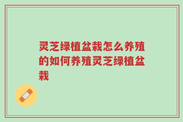 灵芝绿植盆栽怎么养殖的如何养殖灵芝绿植盆栽-第1张图片-超越 灵芝绿植盆栽怎么养殖的如何养殖灵芝绿植盆栽-第1张图片-超越