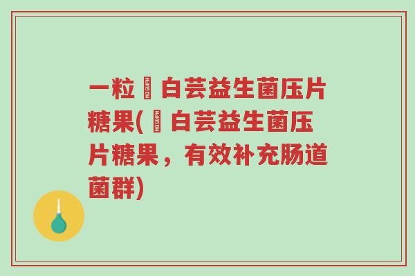 一粒廋白芸益生菌压片糖果(廋白芸益生菌压片糖果,有效补充肠道菌群)-第1张图片-超越 一粒廋白芸益生菌压片糖果(廋白芸益生菌压片糖果,有效补充肠道菌群)-第1张图片-超越