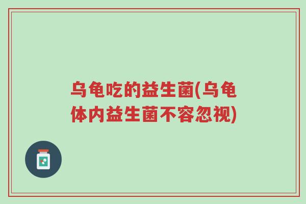 乌龟吃的益生菌(乌龟体内益生菌不容忽视)-第1张图片-超越
