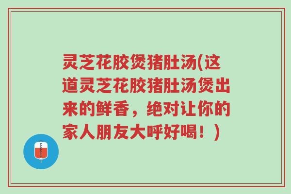 灵芝花胶煲猪肚汤(这道灵芝花胶猪肚汤煲出来的鲜香，绝对让你的家人朋友大呼好喝！)-第1张图片-超越