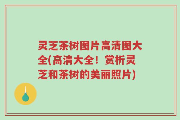 灵芝茶树图片高清图大全(高清大全！赏析灵芝和茶树的美丽照片)-第1张图片-超越