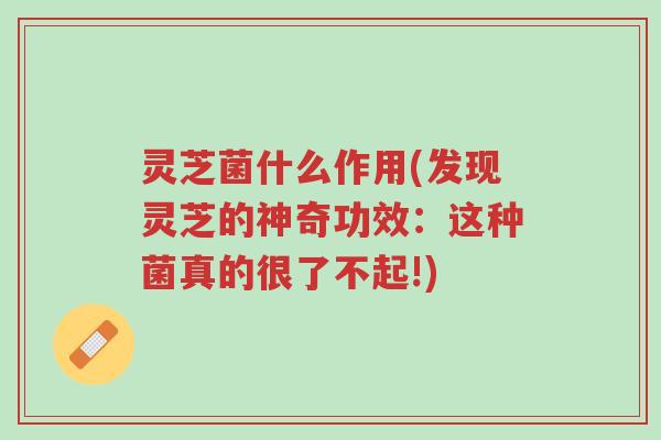 灵芝菌什么作用(发现灵芝的神奇功效：这种菌真的很了不起!)-第1张图片-超越