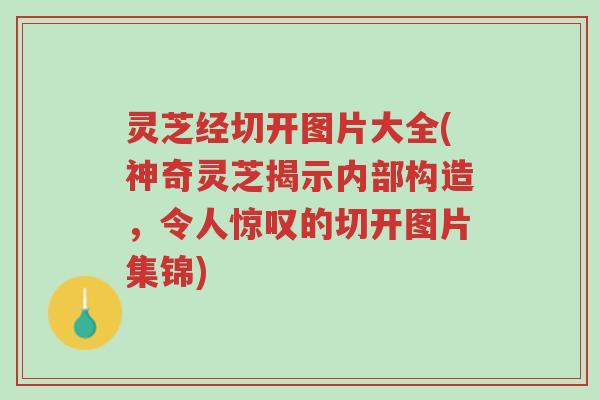灵芝经切开图片大全(神奇灵芝揭示内部构造，令人惊叹的切开图片集锦)-第1张图片-超越