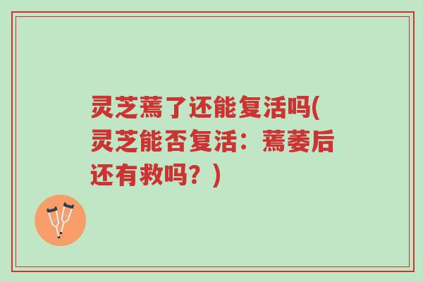 灵芝蔫了还能复活吗(灵芝能否复活:蔫萎后还有救吗?)-第1张图片-超越 灵芝蔫了还能复活吗(灵芝能否复活:蔫萎后还有救吗?)-第1张图片-超越