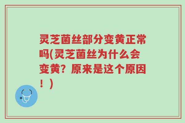 灵芝菌丝部分变黄正常吗(灵芝菌丝为什么会变黄?原来是这个原因!)-第1张图片-超越 灵芝菌丝部分变黄正常吗(灵芝菌丝为什么会变黄?原来是这个原因!)-第1张图片-超越