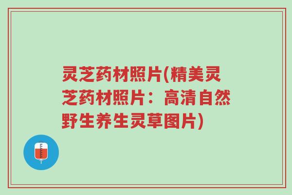 灵芝药材照片(精美灵芝药材照片：高清自然野生养生灵草图片)-第1张图片-超越