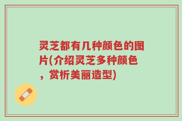 灵芝都有几种颜色的图片(介绍灵芝多种颜色,赏析美丽造型)-第1张图片-超越 灵芝都有几种颜色的图片(介绍灵芝多种颜色,赏析美丽造型)-第1张图片-超越