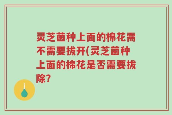 灵芝菌种上面的棉花需不需要拔开(灵芝菌种上面的棉花是否需要拔除？-第1张图片-超越