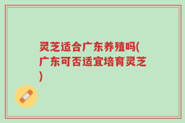 灵芝适合广东养殖吗(广东可否适宜培育灵芝)-第1张图片-超越 灵芝适合广东养殖吗(广东可否适宜培育灵芝)-第1张图片-超越