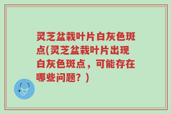 灵芝盆栽叶片白灰色斑点(灵芝盆栽叶片出现白灰色斑点,可能存在哪些问题?)-第1张图片-超越 灵芝盆栽叶片白灰色斑点(灵芝盆栽叶片出现白灰色斑点,可能存在哪些问题?)-第1张图片-超越