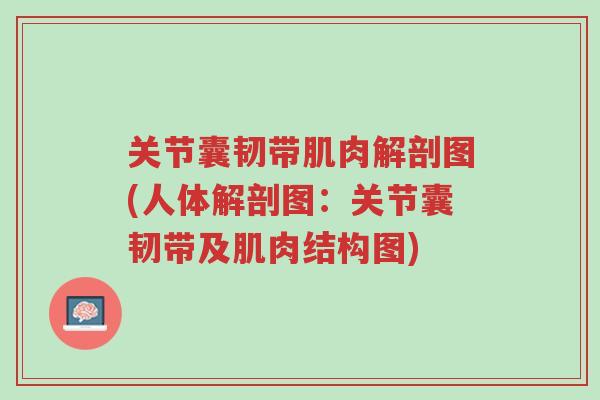 关节囊韧带肌肉解剖图(人体解剖图：关节囊韧带及肌肉结构图)-第1张图片-超越