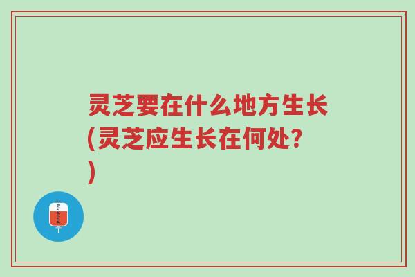 灵芝要在什么地方生长(灵芝应生长在何处?)-第1张图片-超越 灵芝要在什么地方生长(灵芝应生长在何处?)-第1张图片-超越