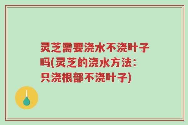 灵芝需要浇水不浇叶子吗(灵芝的浇水方法:只浇根部不浇叶子)-第1张图片-超越 灵芝需要浇水不浇叶子吗(灵芝的浇水方法:只浇根部不浇叶子)-第1张图片-超越