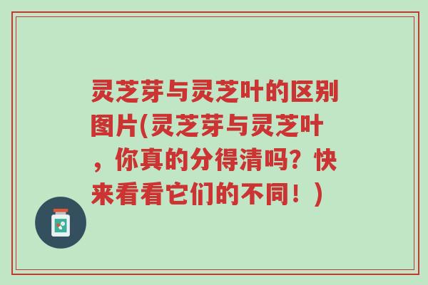 灵芝芽与灵芝叶的区别图片(灵芝芽与灵芝叶,你真的分得清吗?快来看看它们的不同!)-第1张图片-超越 灵芝芽与灵芝叶的区别图片(灵芝芽与灵芝叶,你真的分得清吗?快来看看它们的不同!)-第1张图片-超越