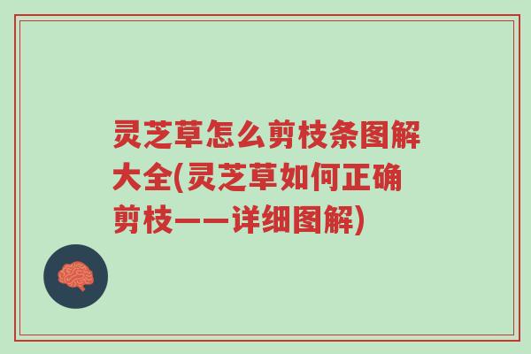 灵芝草怎么剪枝条图解大全(灵芝草如何正确剪枝——详细图解)-第1张图片-超越 灵芝草怎么剪枝条图解大全(灵芝草如何正确剪枝——详细图解)-第1张图片-超越