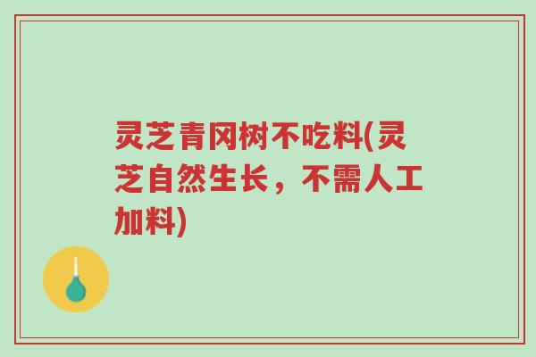 灵芝青冈树不吃料(灵芝自然生长，不需人工加料)-第1张图片-超越