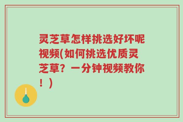 灵芝草怎样挑选好坏呢视频(如何挑选优质灵芝草?一分钟视频教你!)-第1张图片-超越 灵芝草怎样挑选好坏呢视频(如何挑选优质灵芝草?一分钟视频教你!)-第1张图片-超越