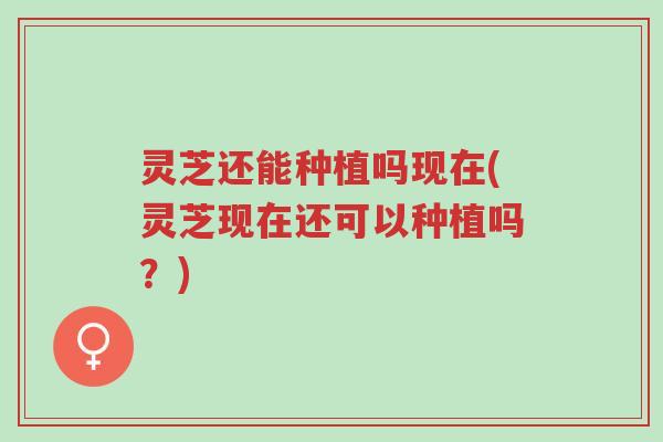 灵芝还能种植吗现在(灵芝现在还可以种植吗?)-第1张图片-超越 灵芝还能种植吗现在(灵芝现在还可以种植吗?)-第1张图片-超越
