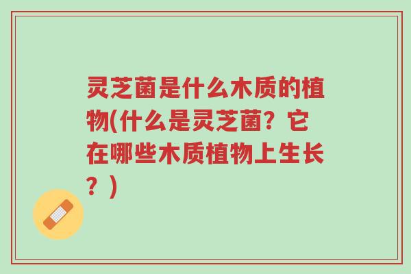 灵芝菌是什么木质的植物(什么是灵芝菌?它在哪些木质植物上生长?)-第1张图片-超越 灵芝菌是什么木质的植物(什么是灵芝菌?它在哪些木质植物上生长?)-第1张图片-超越