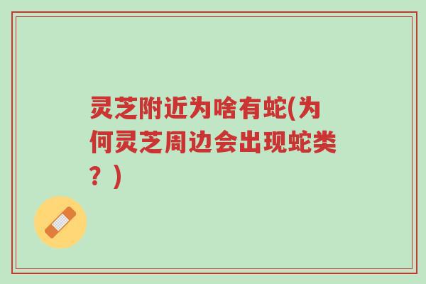 灵芝附近为啥有蛇(为何灵芝周边会出现蛇类？)-第1张图片-超越