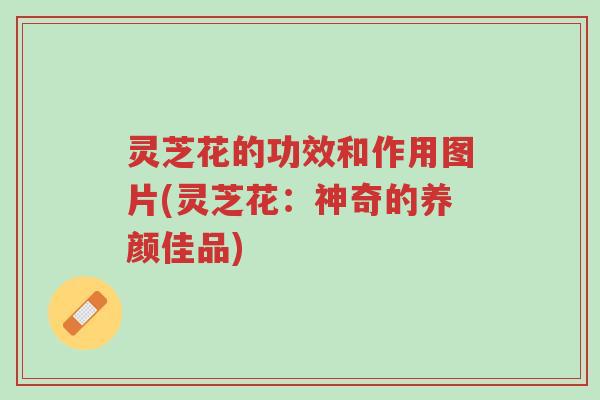 灵芝花的功效和作用图片(灵芝花:神奇的养颜佳品)-第1张图片-超越 灵芝花的功效和作用图片(灵芝花:神奇的养颜佳品)-第1张图片-超越
