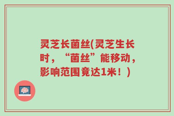 灵芝长菌丝(灵芝生长时,“菌丝”能移动,影响范围竟达1米!)-第1张图片-超越 灵芝长菌丝(灵芝生长时,“菌丝”能移动,影响范围竟达1米!)-第1张图片-超越