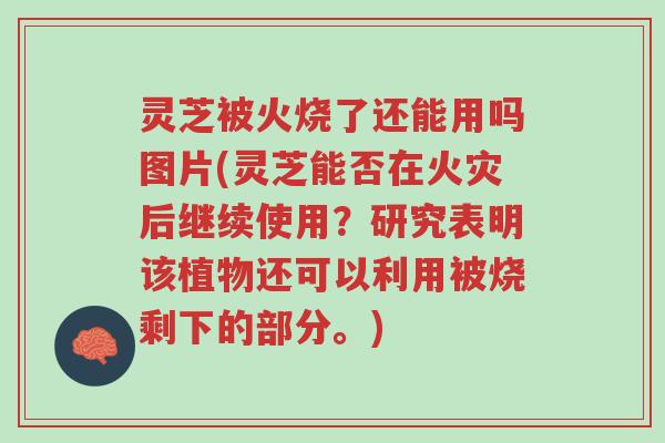 灵芝被火烧了还能用吗图片(灵芝能否在火灾后继续使用?研究表明该植物还可以利用被烧剩下的部分。)-第1张图片-超越 灵芝被火烧了还能用吗图片(灵芝能否在火灾后继续使用?研究表明该植物还可以利用被烧剩下的部分。)-第1张图片-超越