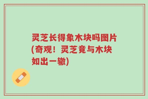 灵芝长得象木块吗图片(奇观!灵芝竟与木块如出一辙)-第1张图片-超越 灵芝长得象木块吗图片(奇观!灵芝竟与木块如出一辙)-第1张图片-超越