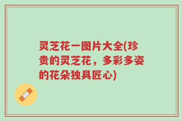 灵芝花一图片大全(珍贵的灵芝花,多彩多姿的花朵独具匠心)-第1张图片-超越 灵芝花一图片大全(珍贵的灵芝花,多彩多姿的花朵独具匠心)-第1张图片-超越