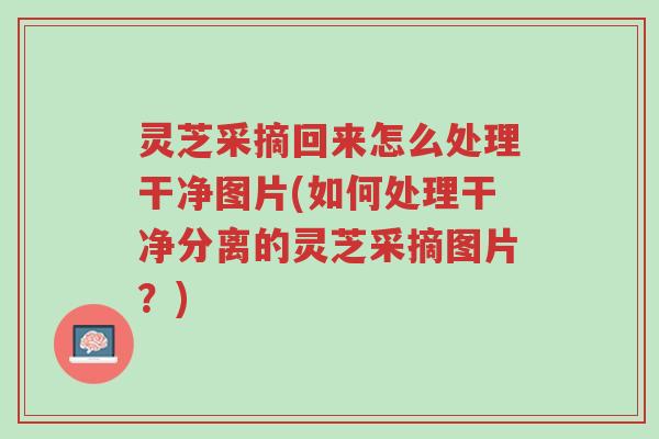 灵芝采摘回来怎么处理干净图片(如何处理干净分离的灵芝采摘图片?)-第1张图片-超越 灵芝采摘回来怎么处理干净图片(如何处理干净分离的灵芝采摘图片?)-第1张图片-超越