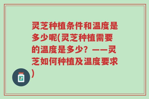 灵芝种植条件和温度是多少呢(灵芝种植需要的温度是多少?——灵芝如何种植及温度要求)-第1张图片-超越 灵芝种植条件和温度是多少呢(灵芝种植需要的温度是多少?——灵芝如何种植及温度要求)-第1张图片-超越