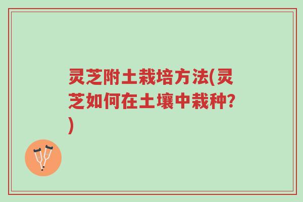 灵芝附土栽培方法(灵芝如何在土壤中栽种?)-第1张图片-超越 灵芝附土栽培方法(灵芝如何在土壤中栽种?)-第1张图片-超越