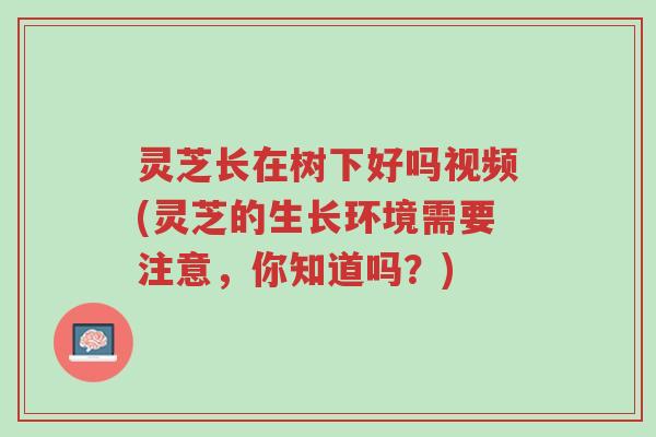 灵芝长在树下好吗视频(灵芝的生长环境需要注意，你知道吗？)-第1张图片-超越