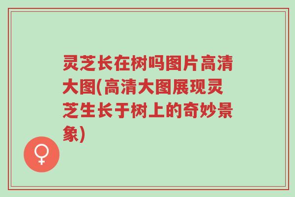 灵芝长在树吗图片高清大图(高清大图展现灵芝生长于树上的奇妙景象)-第1张图片-超越 灵芝长在树吗图片高清大图(高清大图展现灵芝生长于树上的奇妙景象)-第1张图片-超越