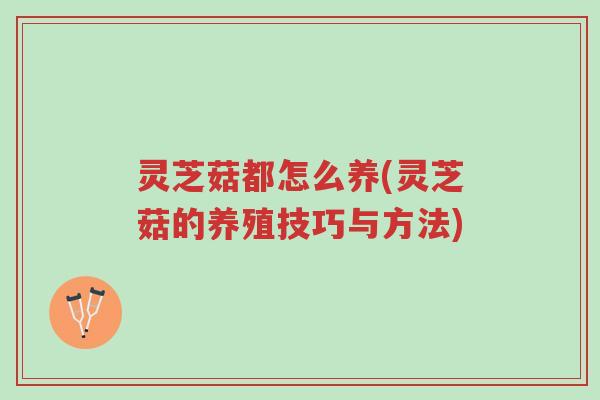 灵芝菇都怎么养(灵芝菇的养殖技巧与方法)-第1张图片-超越 灵芝菇都怎么养(灵芝菇的养殖技巧与方法)-第1张图片-超越