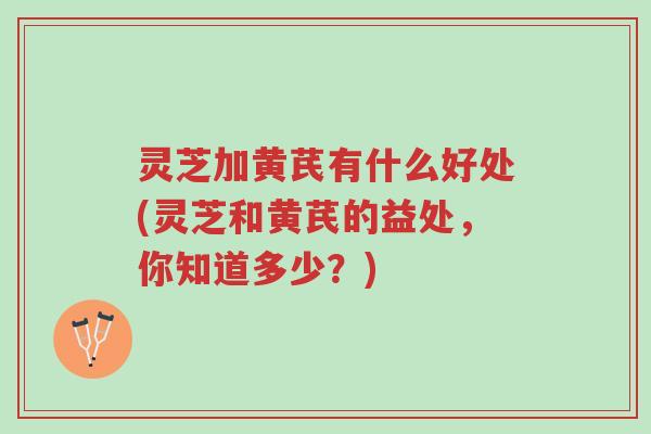 灵芝加黄芪有什么好处(灵芝和黄芪的益处,你知道多少?)-第1张图片-超越 灵芝加黄芪有什么好处(灵芝和黄芪的益处,你知道多少?)-第1张图片-超越