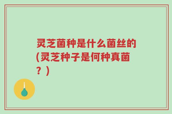 灵芝菌种是什么菌丝的(灵芝种子是何种真菌？)-第1张图片-超越