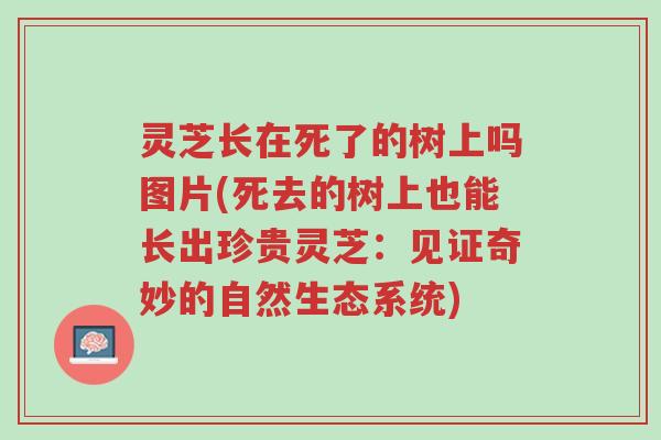 灵芝长在死了的树上吗图片(死去的树上也能长出珍贵灵芝:见证奇妙的自然生态系统)-第1张图片-超越 灵芝长在死了的树上吗图片(死去的树上也能长出珍贵灵芝:见证奇妙的自然生态系统)-第1张图片-超越