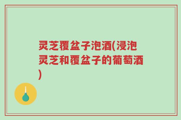 灵芝覆盆子泡酒(浸泡灵芝和覆盆子的葡萄酒)-第1张图片-超越