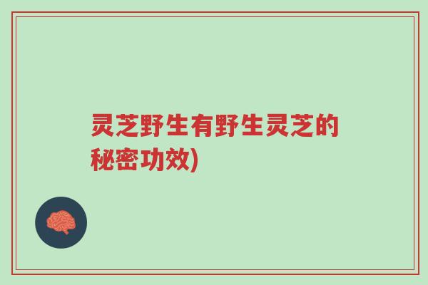 灵芝野生有野生灵芝的秘密功效)-第1张图片-超越 灵芝野生有野生灵芝的秘密功效)-第1张图片-超越