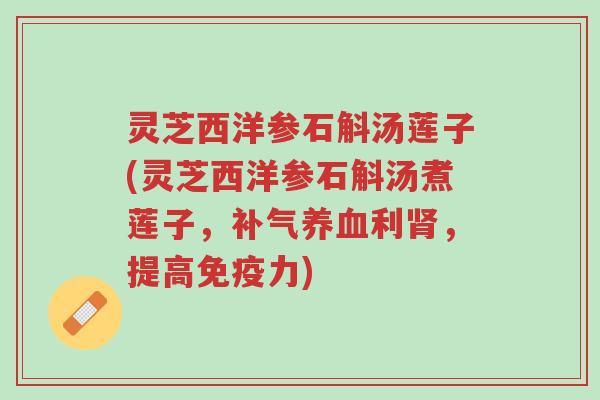 灵芝西洋参石斛汤莲子(灵芝西洋参石斛汤煮莲子,补气养血利肾,提高免疫力)-第1张图片-超越 灵芝西洋参石斛汤莲子(灵芝西洋参石斛汤煮莲子,补气养血利肾,提高免疫力)-第1张图片-超越