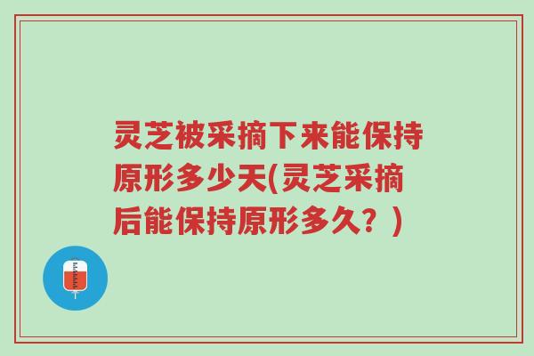 灵芝被采摘下来能保持原形多少天(灵芝采摘后能保持原形多久？)-第1张图片-超越