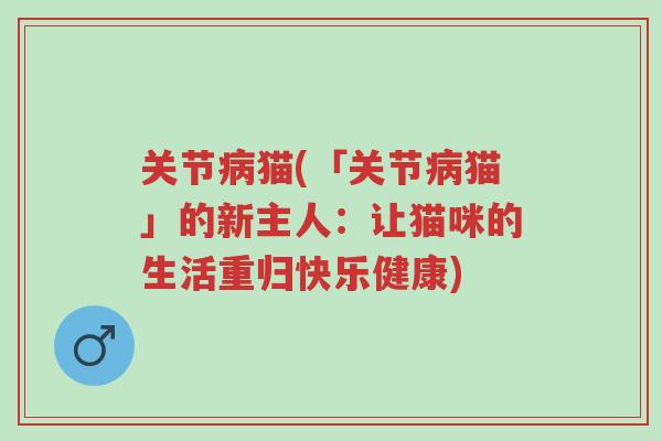 关节病猫(「关节病猫」的新主人：让猫咪的生活重归快乐健康)-第1张图片-超越