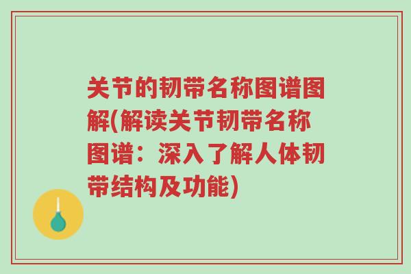 关节的韧带名称图谱图解(解读关节韧带名称图谱:深入了解人体韧带结构及功能)-第1张图片-超越 关节的韧带名称图谱图解(解读关节韧带名称图谱:深入了解人体韧带结构及功能)-第1张图片-超越