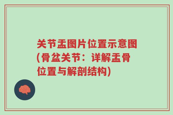 关节盂图片位置示意图(骨盆关节:详解盂骨位置与解剖结构)-第1张图片-超越 关节盂图片位置示意图(骨盆关节:详解盂骨位置与解剖结构)-第1张图片-超越