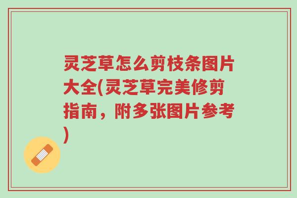 灵芝草怎么剪枝条图片大全(灵芝草完美修剪指南,附多张图片参考)-第1张图片-超越 灵芝草怎么剪枝条图片大全(灵芝草完美修剪指南,附多张图片参考)-第1张图片-超越